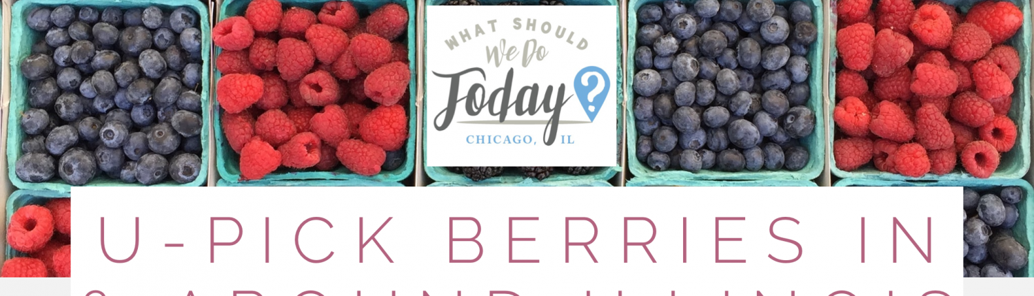 What Should We Do Today? Chicago, IL